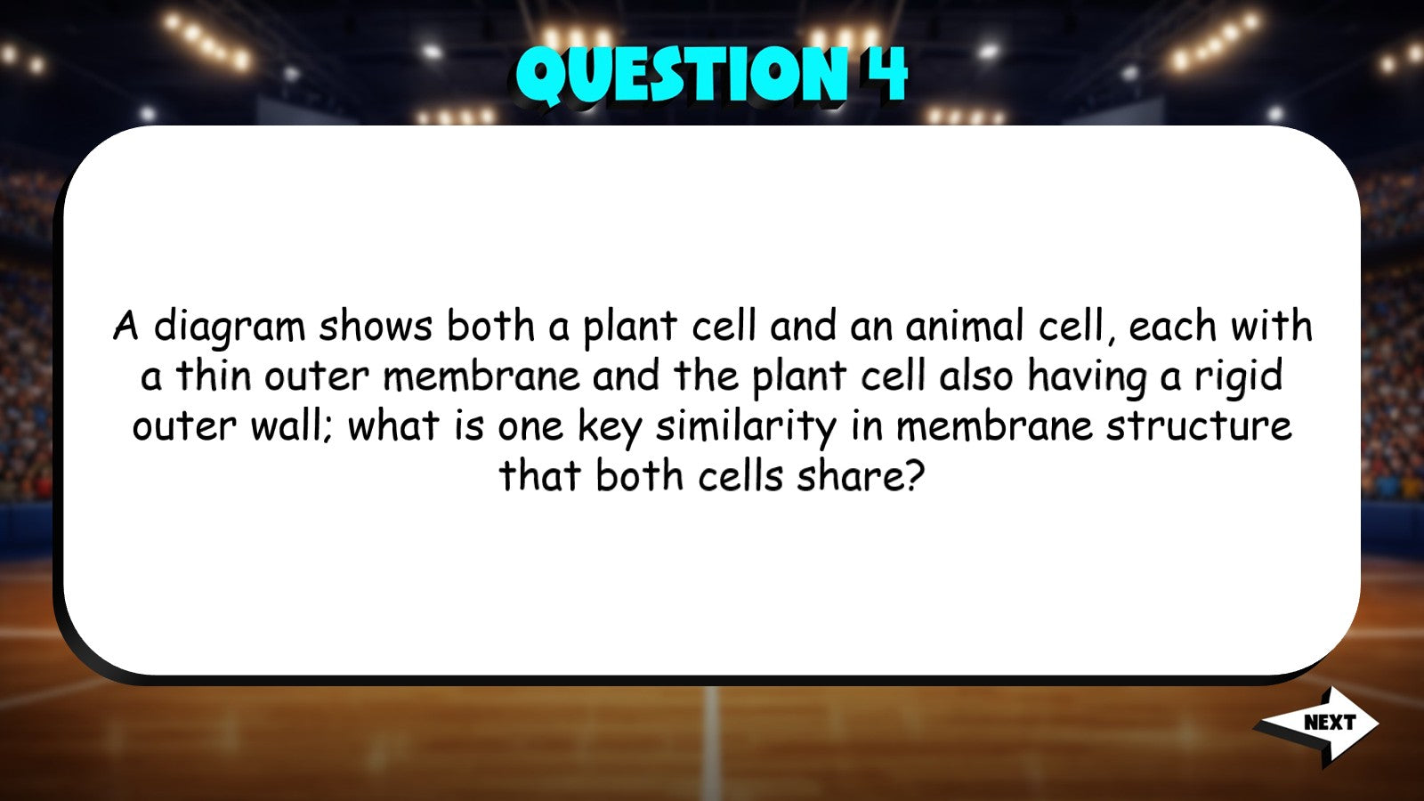 Cell Membrane Structure TRASHKETBALL Science Game - No Prep Grade 7 Review