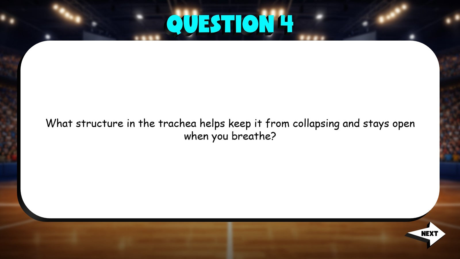Human Respiratory System TRASHKETBALL Science Game - No Prep Grade 5 Review