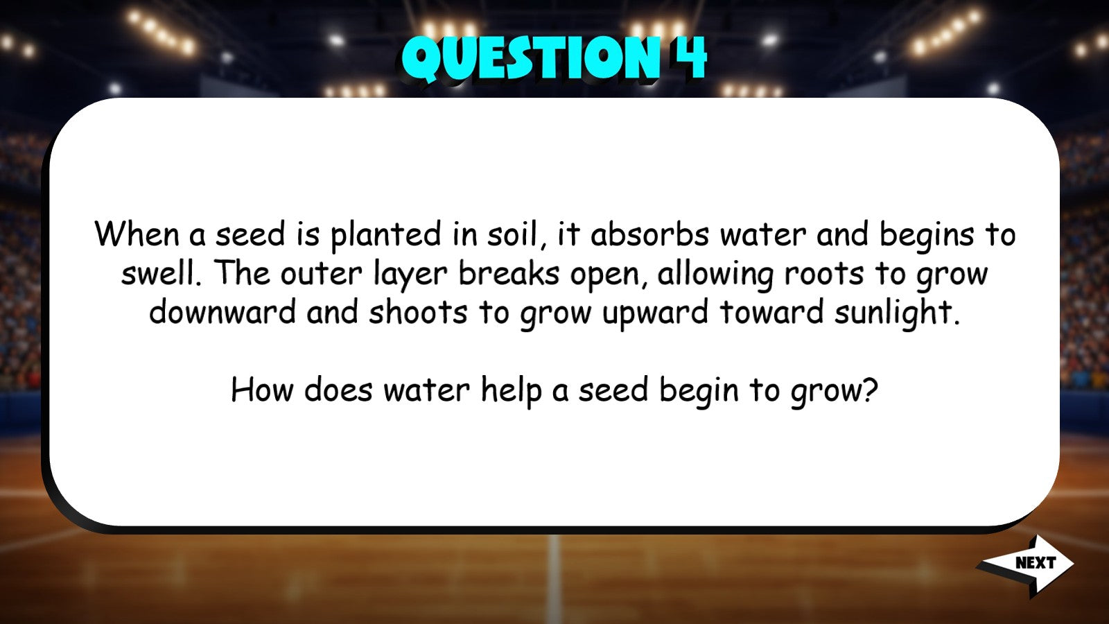 Why & How Questions with Information TRASHKETBALL ELA Game - No Prep Grade 5