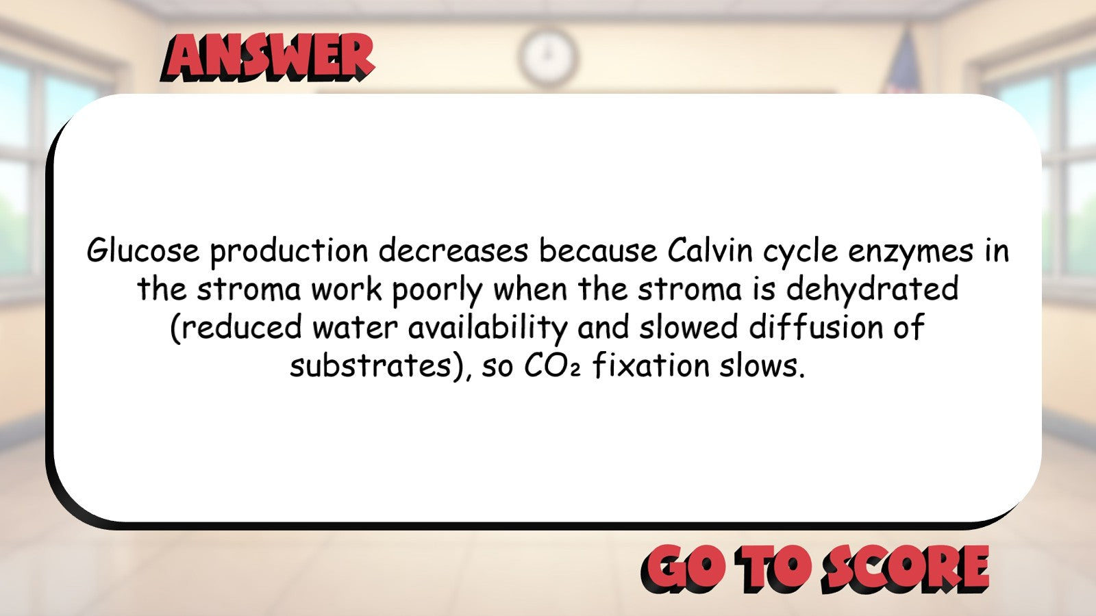Chloroplast Structure & Function BIG TERRIBLE GAME - AP Biology Science Review