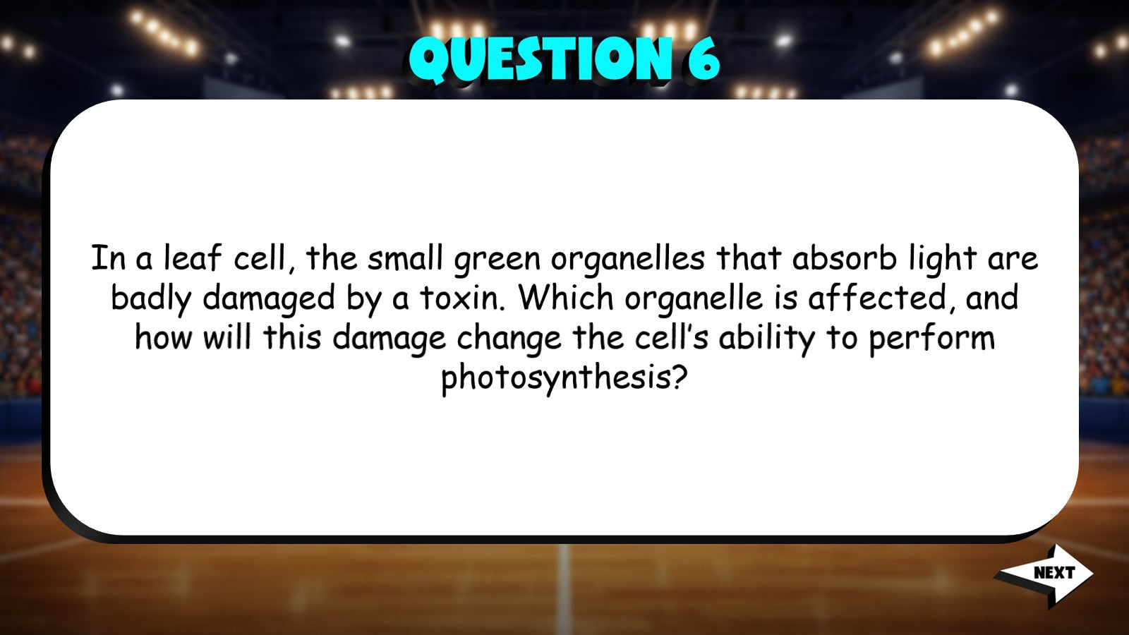 Photosynthesis in Plants TRASHKETBALL Science Game - No Prep Grade 8 Review