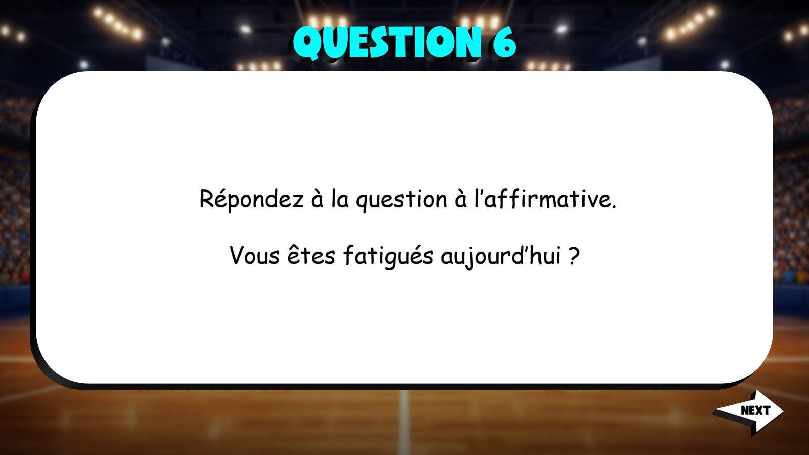 Answer the Question - Descriptive Adjectives TRASHKETBALL French Game - No Prep