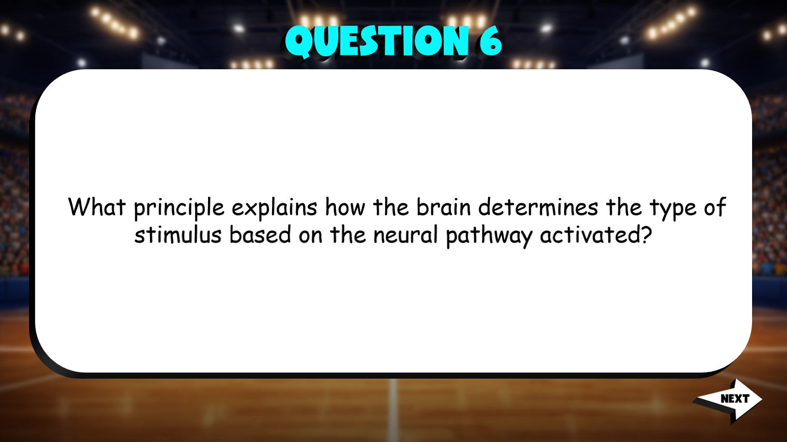Sensory Processing TRASHKETBALL Science Game - No Prep Biology Review Activity