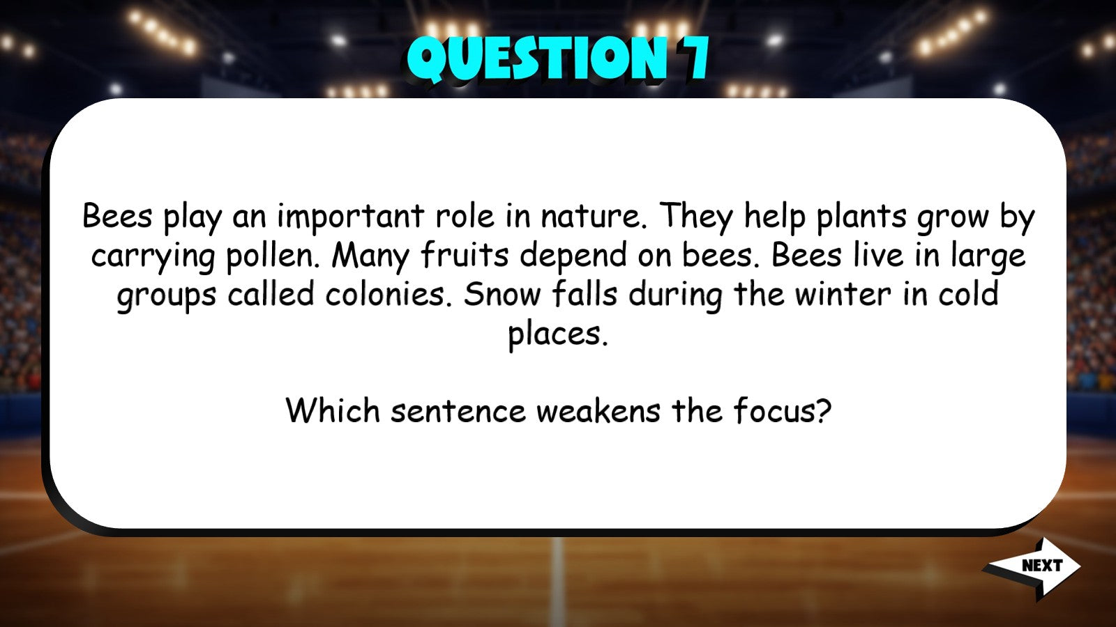 Evaluate Paragraph Organization & Focus TRASHKETBALL ELA Game - No Prep Grade 4