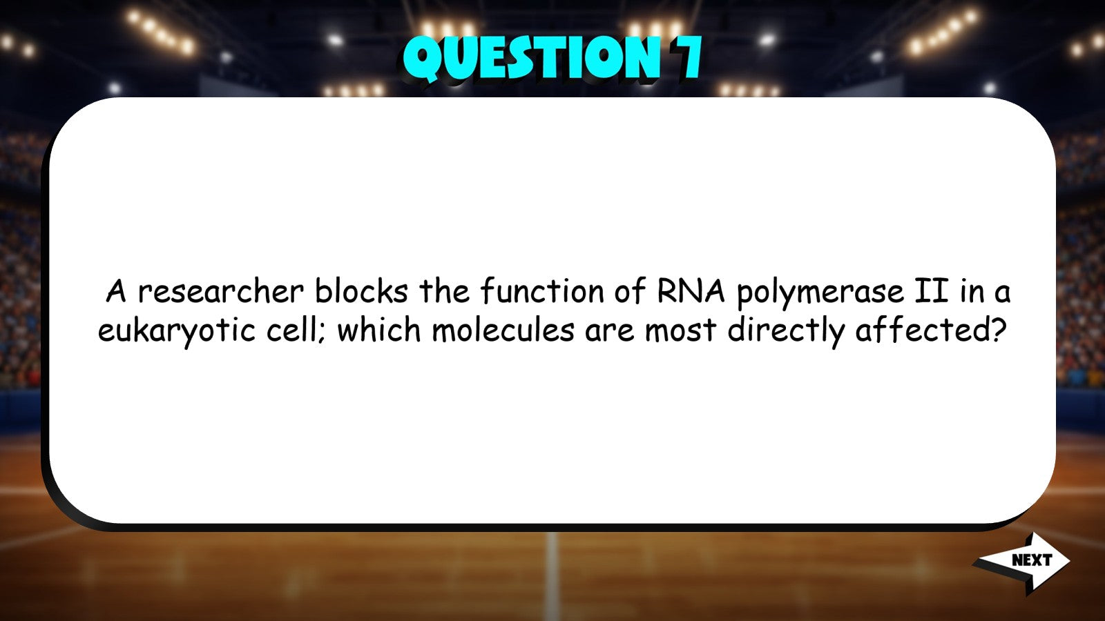 RNA & Protein Synthesis TRASHKETBALL Science Game - No Prep AP Biology Review