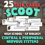 Central & Peripheral Nervous Systems SCOOT TASK CARDS Science Game - AP Biology