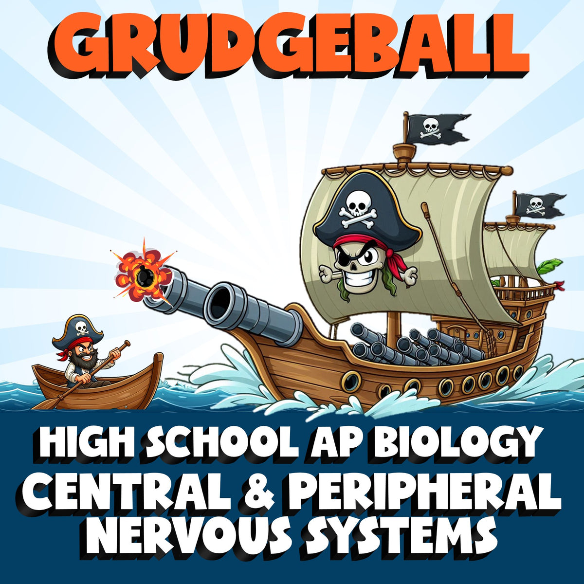 Central & Peripheral Nervous Systems GRUDGEBALL Science Game - AP Biology