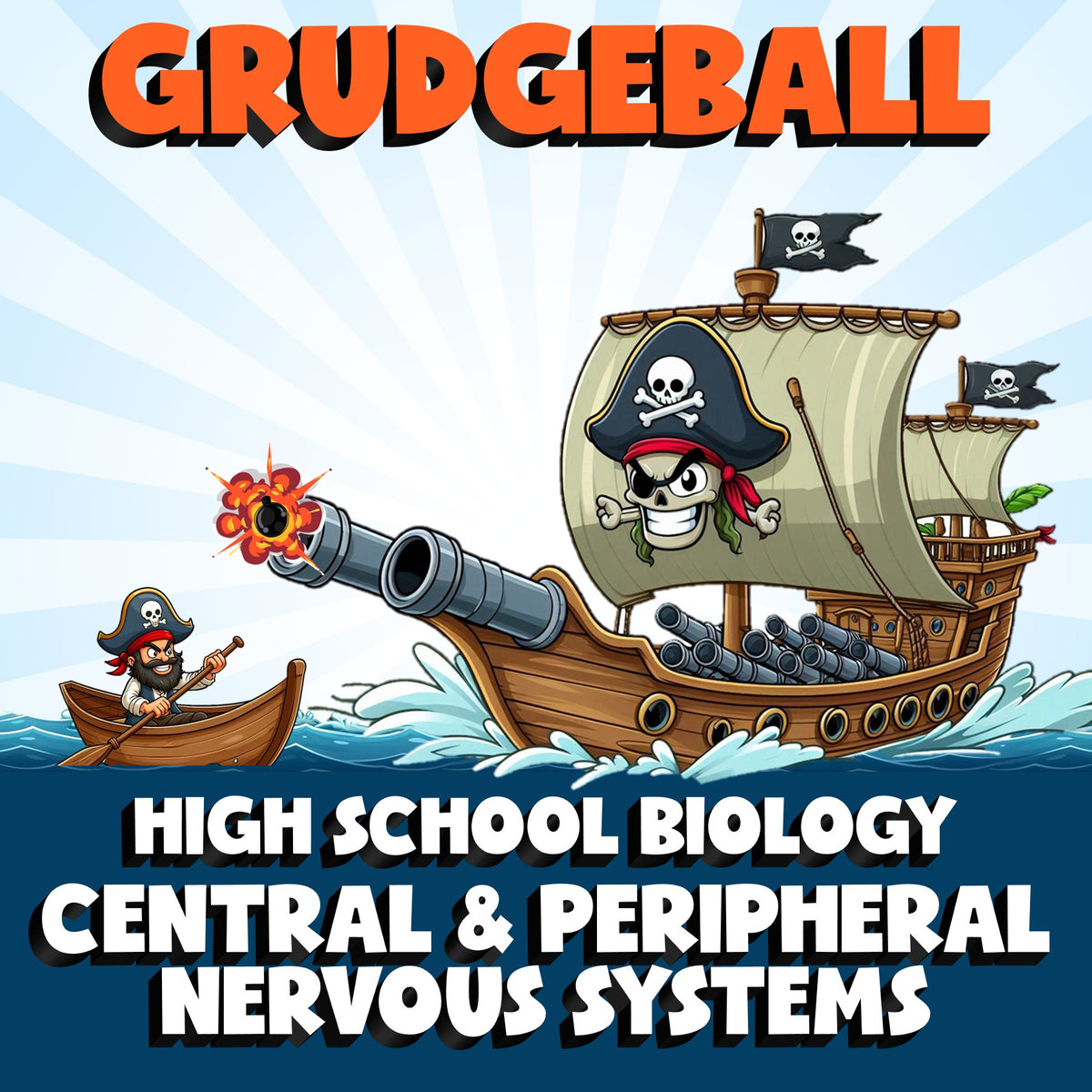 Central & Peripheral Nervous Systems GRUDGEBALL Science Game - No Prep Biology